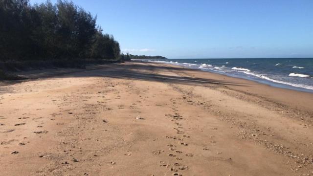 Balgal Beach Units Rollingstone Exteriör bild